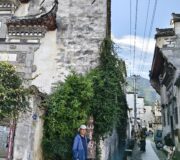 暑读记（之三）