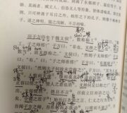 一春读庄何所得